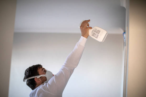 Best Mold Remediation for Specific Building Types in Pelahatchie, MS