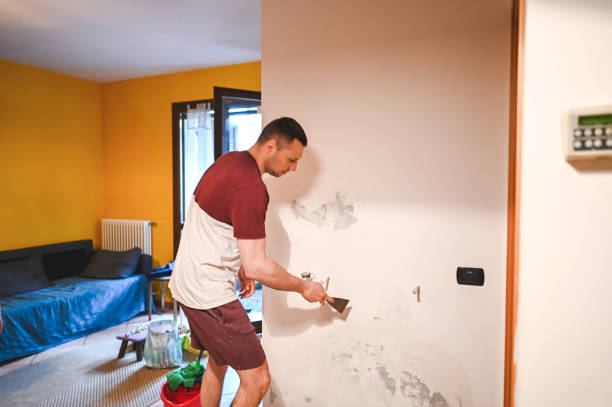 Best Attic Mold Remediation in Pelahatchie, MS